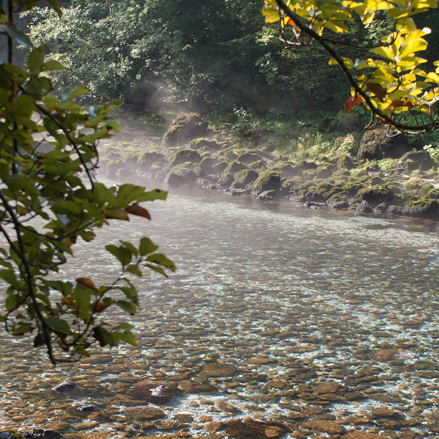 A stream and rocky bank with greenery and around.