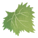 leaf-04